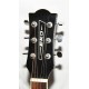 GUITARRA ELECTROACUSTICA EKO KW-EQ FISHMAN ION PLUS