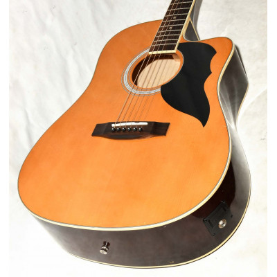 GUITARRA ELECTROACUSTICA EKO KW-EQ FISHMAN ION PLUS