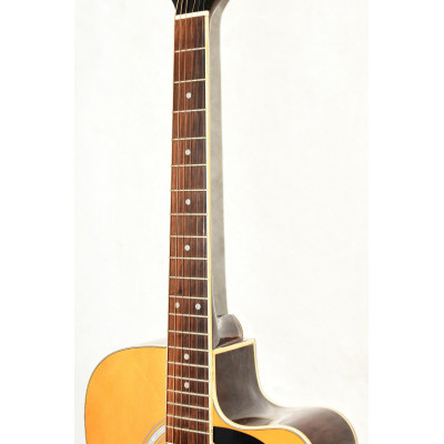 GUITARRA ELECTROACUSTICA EKO KW-EQ FISHMAN ION PLUS