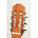 GUITARRA CLASICA SEGOVIA