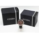 RELOJ CITIZEN ECO-DRIVE ALTICHRON J280