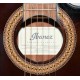 GUITARRA ELECTROACUSTICA IBANEZ GA35TCE-DVS