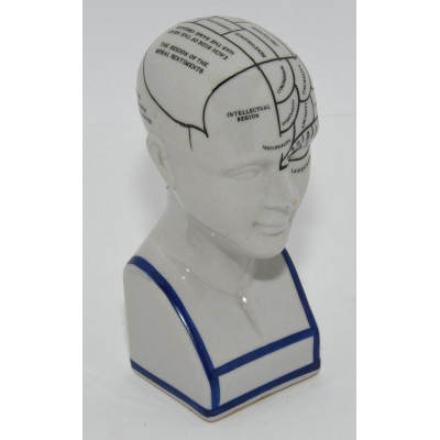 CABEZA FRENOLOGIA PORCELANA 15CM ALTURA