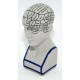 CABEZA FRENOLOGIA PORCELANA 15CM ALTURA