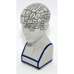 CABEZA FRENOLOGIA PORCELANA 15CM ALTURA