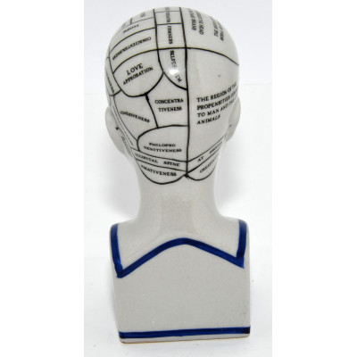 CABEZA FRENOLOGIA PORCELANA 15CM ALTURA