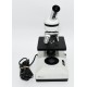 MICROSCOPIO ESCHENBACH PRAXIS 3002