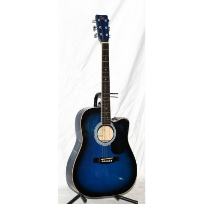 GUITARRA ACUSTICA 07 USA WG-54 BLS