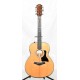 GUITARRA ACUSTICA TAYLOR 316E