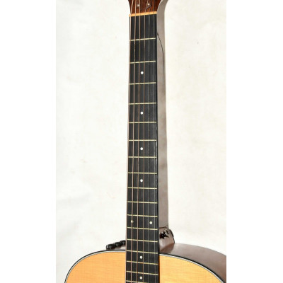 GUITARRA ACUSTICA TAYLOR 316E