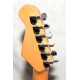 GUITARRA ELÉCTRICA LIVE INICIACION