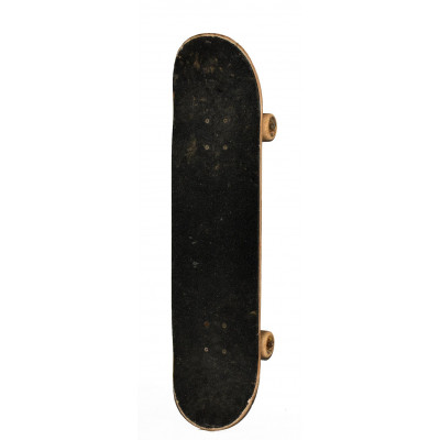 SKATEBOARD ELEMENT
