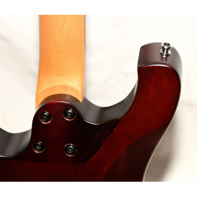 GUITARRA ELÉCTRICA SCHECTER SGR 006