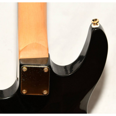 GUITARRA ELÉCTRICA K RIDER SK758T