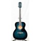 GUITARRA ACUSTICA RICHWOOD RA12BUS