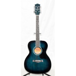 GUITARRA ACUSTICA RICHWOOD RA12BUS