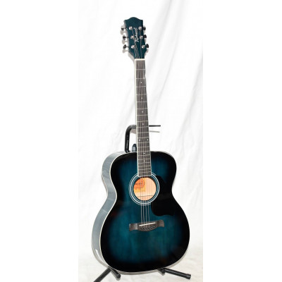 GUITARRA ACUSTICA RICHWOOD RA12BUS