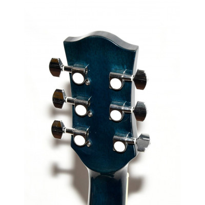 GUITARRA ACUSTICA RICHWOOD RA12BUS