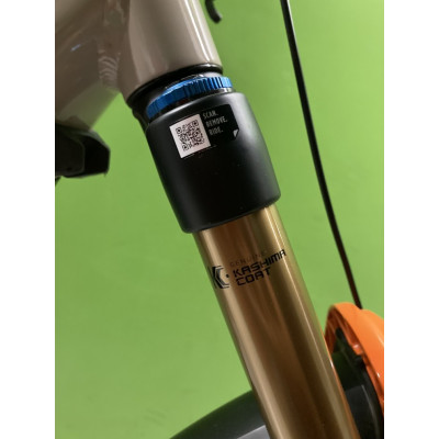 BICICLETA ELECTRICA FOCUS SAM2 2023