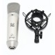 MICROFONO BEHRINGER B-2 PRO