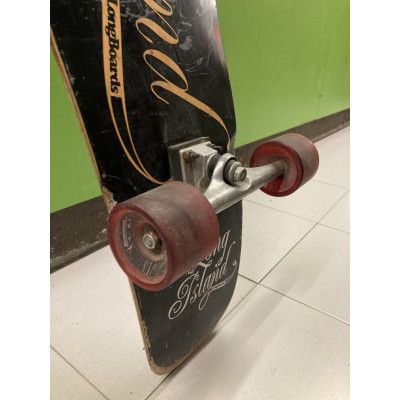 SKATE LONGBOARD LONG ISLAND