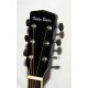 GUITARRA ELECTROACUSTICA HARLEY BENTON HBD120CE BK