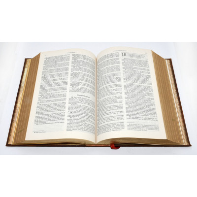 LA SANTA BIBLIA - TERRANOVA