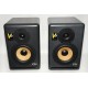 PAREJA DE ALTAVOCES RKR V6 SERIES 2