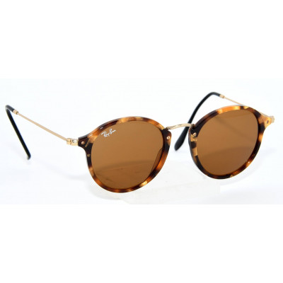 GAFAS DE SOL RAYBAN RB2447