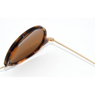 GAFAS DE SOL RAYBAN RB2447