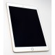 IPAD 5 2017 A1822 WIFI 32GB ORO