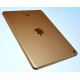 IPAD 5 2017 A1822 WIFI 32GB ORO