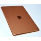 IPAD 7GEN WIFI 128GB ORO ROSA