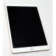 IPAD 7GEN WIFI 128GB ORO ROSA