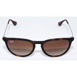 GAFAS DE SOL RAYBAN ERIKA 865/13 54-18 145 3N