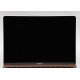 MACBOOK AIR 2020 13p / i3 1.1GHZ / 256GB SSD / 8GB RAM