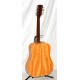 GUITARRA CLASICA PRO MARTIN CW-350M