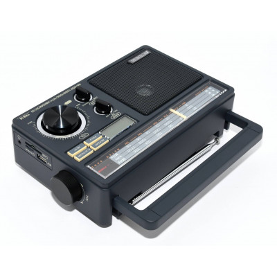 RADIO FM AM RETEKESS TR618