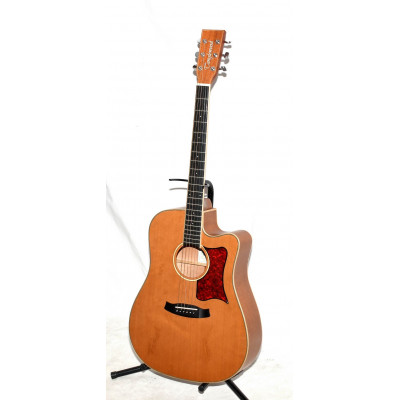 GUITARRA ELECTROACUSTICA TANGLEWOOD TW10 E