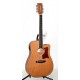 GUITARRA ELECTROACUSTICA TANGLEWOOD TW10 E