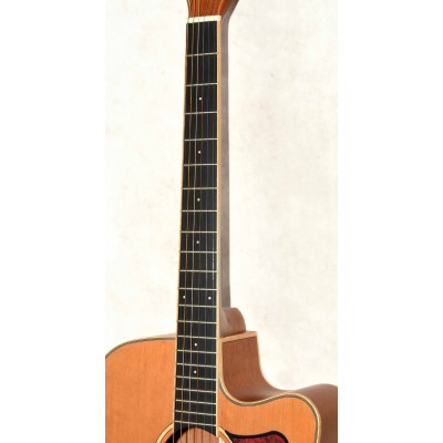 GUITARRA ELECTROACUSTICA TANGLEWOOD TW10 E