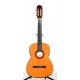 GUITARRA CLASICA ROCIO 10