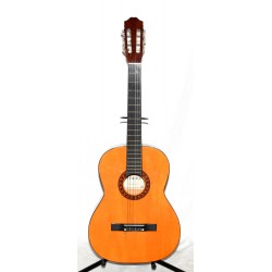 GUITARRA CLASICA ROCIO 10