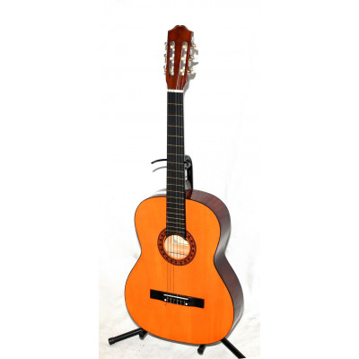 GUITARRA CLASICA ROCIO 10