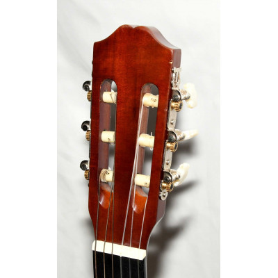 GUITARRA CLASICA ROCIO 10