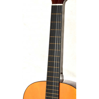 GUITARRA CLASICA ROCIO 10