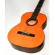 GUITARRA CLASICA ROCIO 10