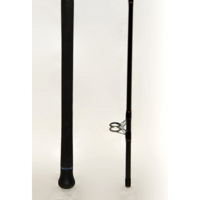 CAÑA PESCA CAPERLAN SEACOAST 5