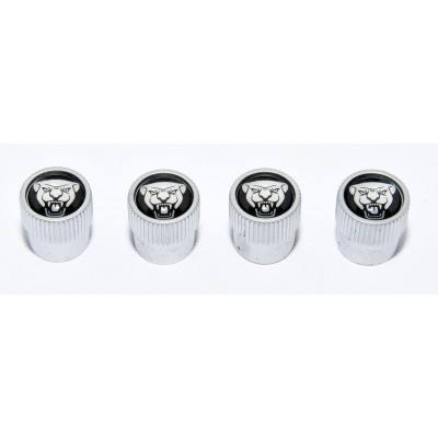 TAPONES DE COCHE JAGUAR