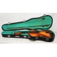 VIOLIN DE INICIACION CHINO